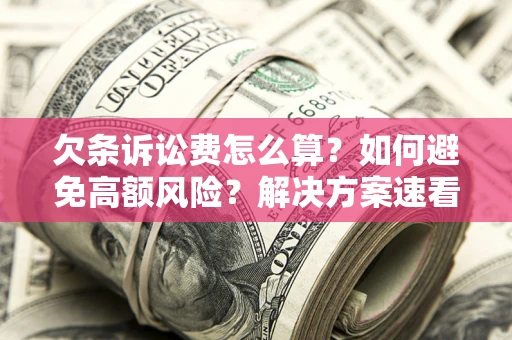 济南欠条诉讼费怎么算？如何避免高额风险？解决方案速看！