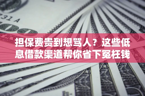 济南担保费贵到想骂人？这些低息借款渠道帮你省下冤枉钱