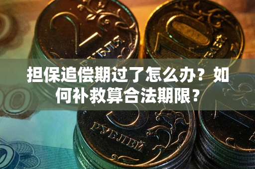 济南担保追偿期过了怎么办？如何补救算合法期限？