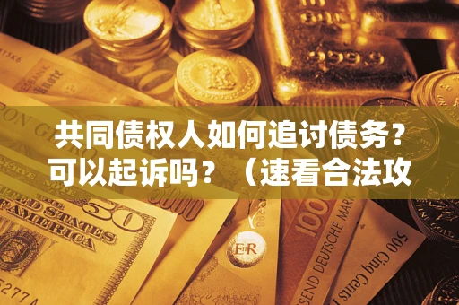 济南共同债权人如何追讨债务？可以起诉吗？（速看合法攻略）